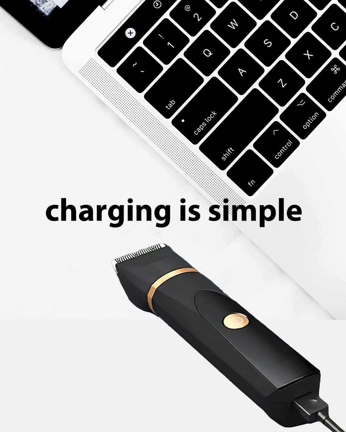 lightning cable